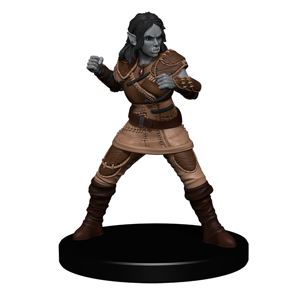 Image of Friendly Faces - The Yawning Portal Inn 5e Icons of the Realms Miniatures Set