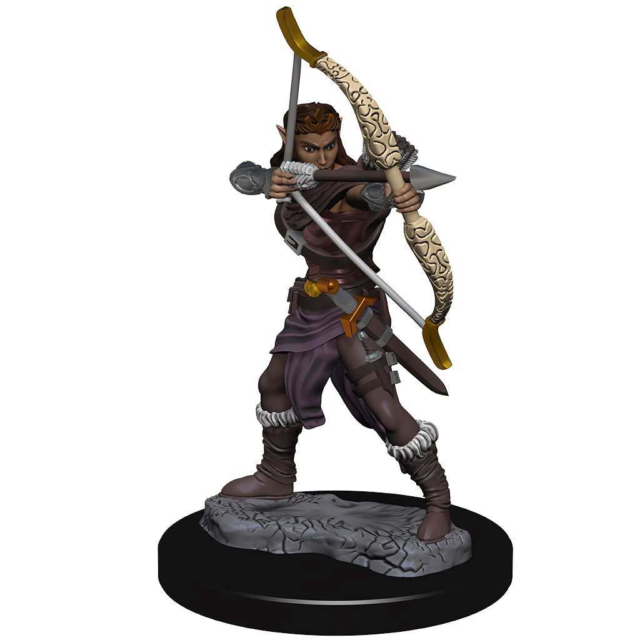 Image of Elf Ranger - Dungeons and Dragons: Icons of the Realms
